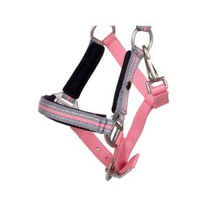 Fohlenhalfter mit Stirnband QHP image-2