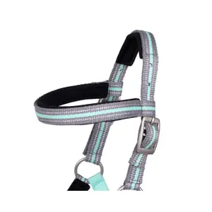 Fohlenhalfter mit Stirnband QHP image-1