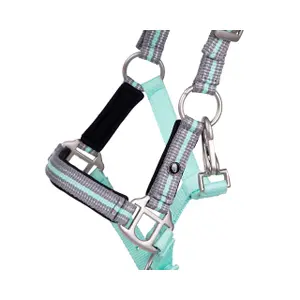 Fohlenhalfter mit Stirnband QHP image-2