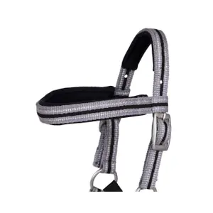 Fohlenhalfter mit Stirnband QHP image-1