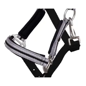 Fohlenhalfter mit Stirnband QHP image-2