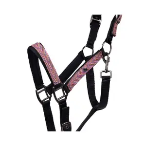 Set de cabestro y cuerda para poni QHP Duo image-2