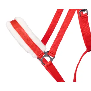 Cabestro de tiro Q-essentials Cali image-2