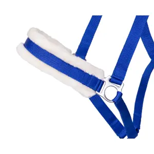 Cavezza Q-essentials Cali image-2