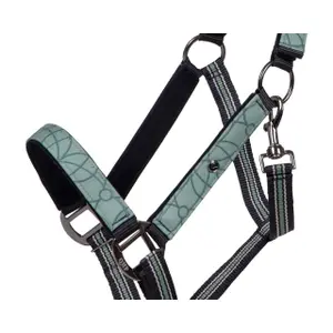 Halter for horse QHP Collection image-3