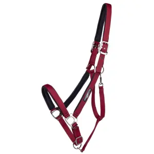 Halter for draft horse QHP Deluxe