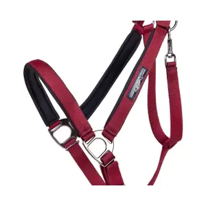 Halter for draft horse QHP Deluxe image-2