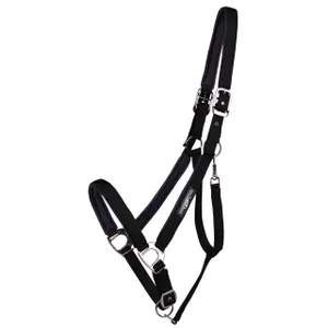 Halter for draft horse QHP Deluxe
