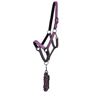 Halter and lead rope set for horse QHP Gemstones image-0