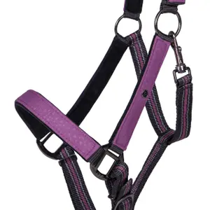 Halter and lead rope set for horse QHP Gemstones image-1