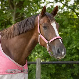 Horse headcollar and lead rope set QHP image-1