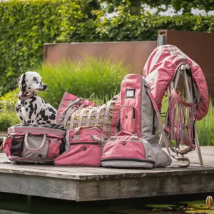 Horse headcollar and lead rope set QHP image-2