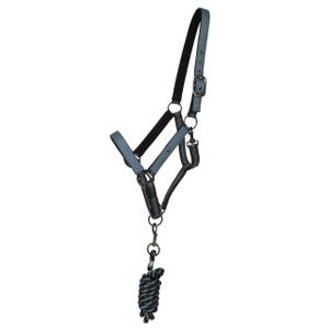 1188-ocb-duo-halster-en-longe-voor-paard-qhp-ocean-breeze