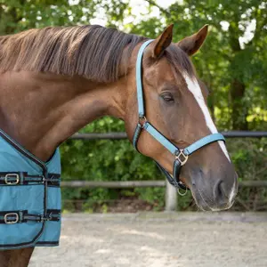 Horse headcollar and lead rope set QHP image-1