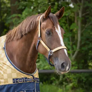 Horse headcollar and lead rope set QHP image-1