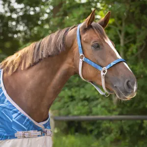 Horse headcollar and lead rope set QHP image-1