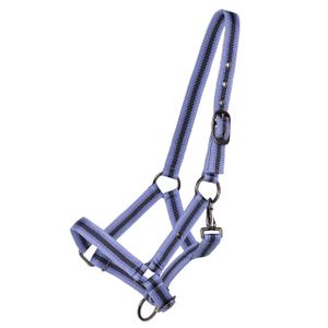 1189-psu-collare-per-puledro-collezione-per-cavallo-qhp-purple-sunset