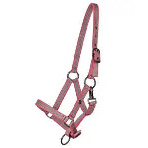 Halster voor paarden QHP Collection image-0
