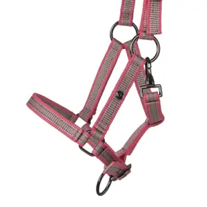 Halster voor paarden QHP Collection image-1