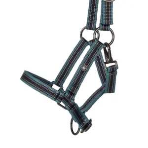 Halster voor paarden QHP Collection image-1