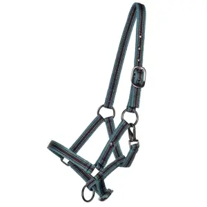 Halster voor paarden QHP Collection image-0