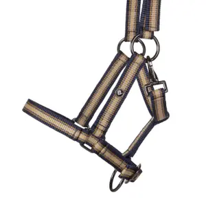 Halster voor paarden QHP Collection image-1