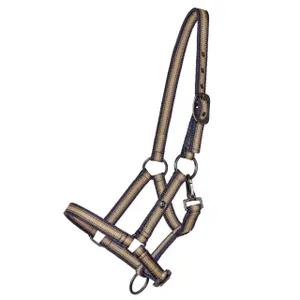 Halster voor paarden QHP Collection image-0