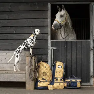 Hay bag collection for horses QHP image-1