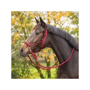 Licol en corde avec rênes pour cheval QHP image-1