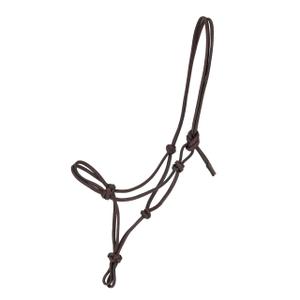 Lead rope halter for horse QHP Liberta