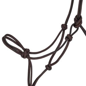 Lead rope halter for horse QHP Liberta image-1