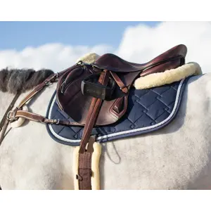 Sattelgurt QHP  image-2