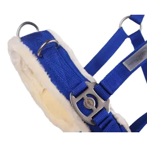 Caveçon pour cheval QHP image-1