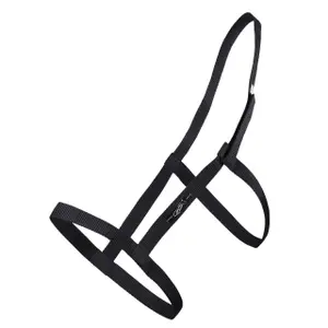 Halter Q-essentials Field image-0