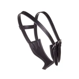 Anti-tic collar for leather horse QHP