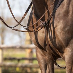 Jachtketting voor paard QHP Basic Pro image-6