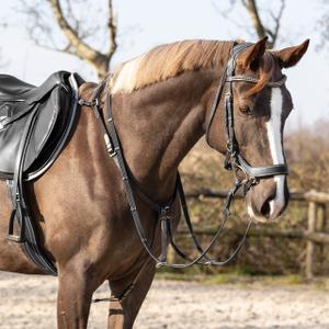 Jachtketting voor paard QHP Basic Pro image-4
