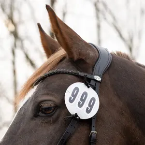 Hållare för ridnummer Q-essentials Prim (x2) image-1