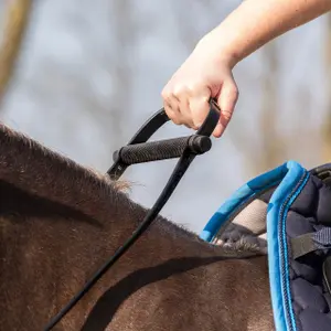 Einhandzügel für Pferde QHP image-2