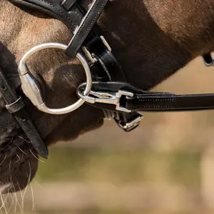 Einhandzügel für Pferde QHP image-3