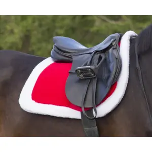 Almofada de sela para cavalos QHP Noël image-3