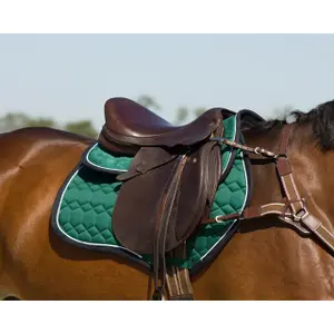 Mantilla para caballos QHP Eldorado image-2