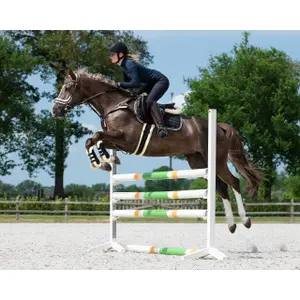 Amortiguación de espuma con memoria QHP Ontario image-1