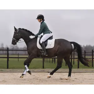 Tapis de selle pour cheval QHP Fenna image-1