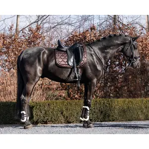 Dressurmatte für Pferde QHP Classy image-2