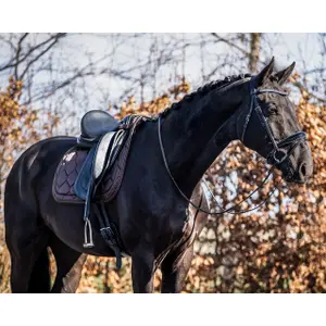 Dressurmatte für Pferde QHP Classy image-3
