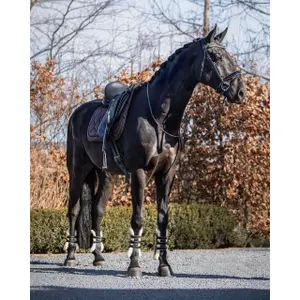Dressurmatte für Pferde QHP Classy image-4