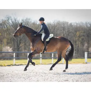 Supersofte Rohe Reitunterlage für Pferde QHP image-1