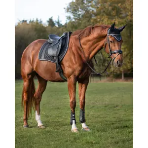 Almofada de sela para cavalos QHP Kae image-2