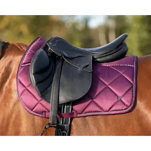 Saddle pad for horses QHP World Tour image-1
